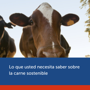 Cópia de Cópia de Cópia de Cópia de Cópia de Cópia de Cópia de Marketing digital para heladerías: como usar las redes sociales para vender más - 4
